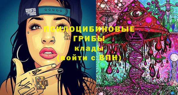 круглые Аркадак
