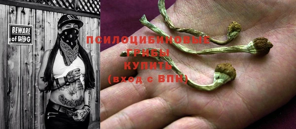spice Арсеньев